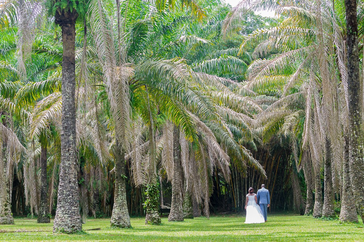 Mariage dans une palmeraie, photographié par POPOWE Studio